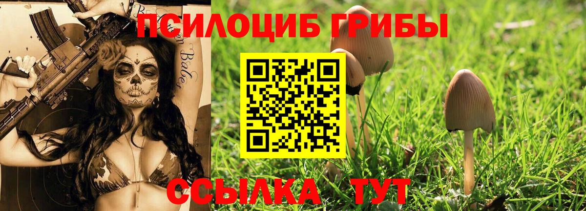 Карталы  Галлюциногенные грибы ЛСД  Вход с VPN  купить закладку  Псилоцибиновые грибы мицелий 